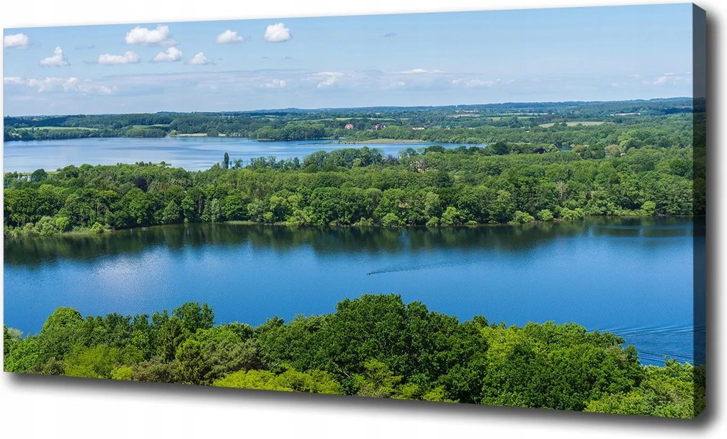 Vászonkép Erdő a tóparton 100x70 cm