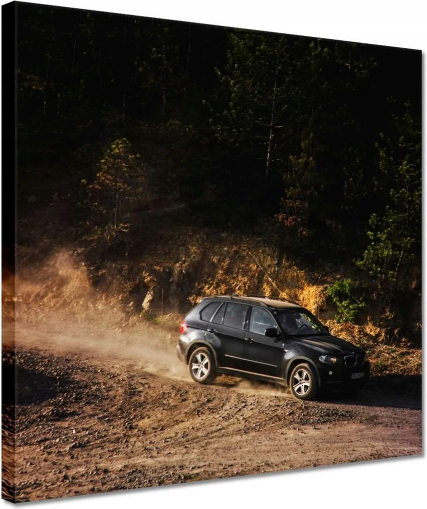 Vászonkép 30x30 Fekete terepjáró Bmw