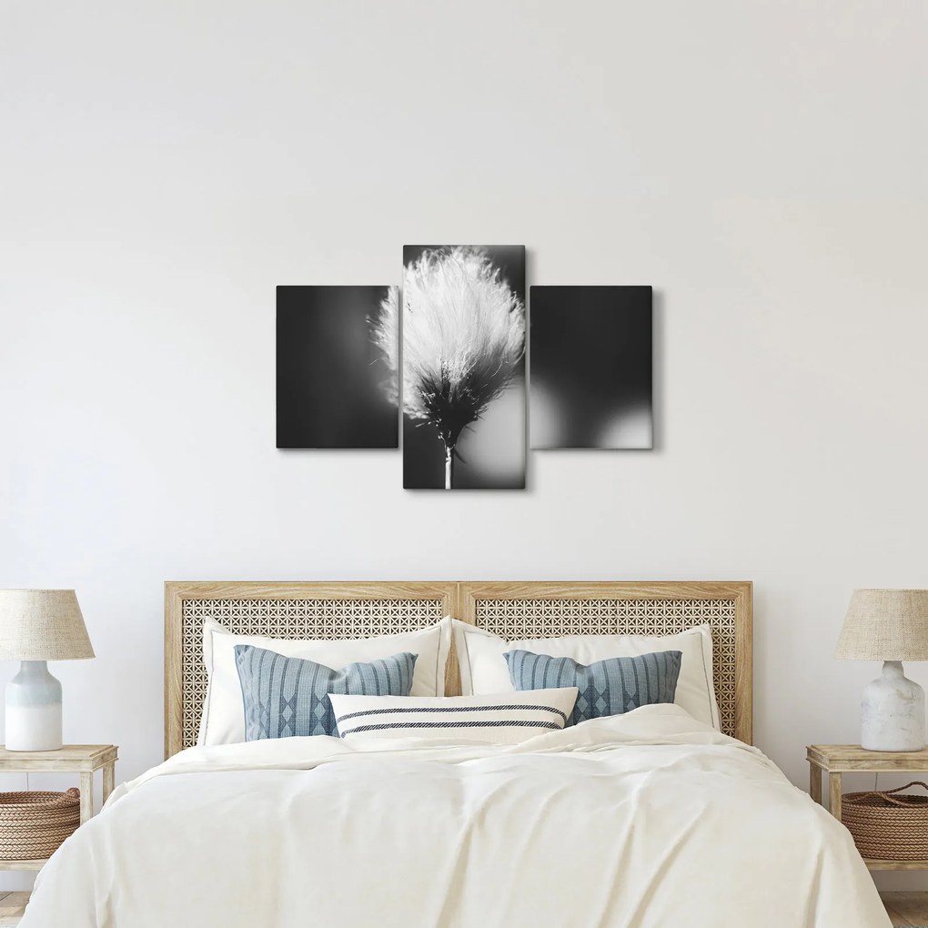 Kép - Fekete-fehér pamutfű (90x60 cm)