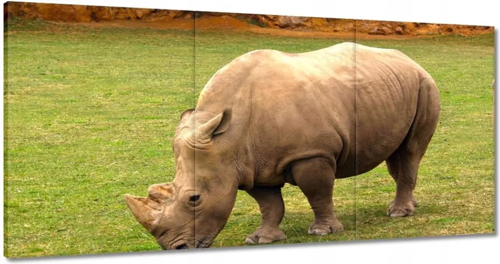 Vászonkép 120x60 Állatok