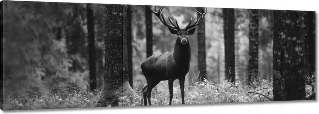 Vászonkép 120x40 Szarvas az erdőben B&amp;w