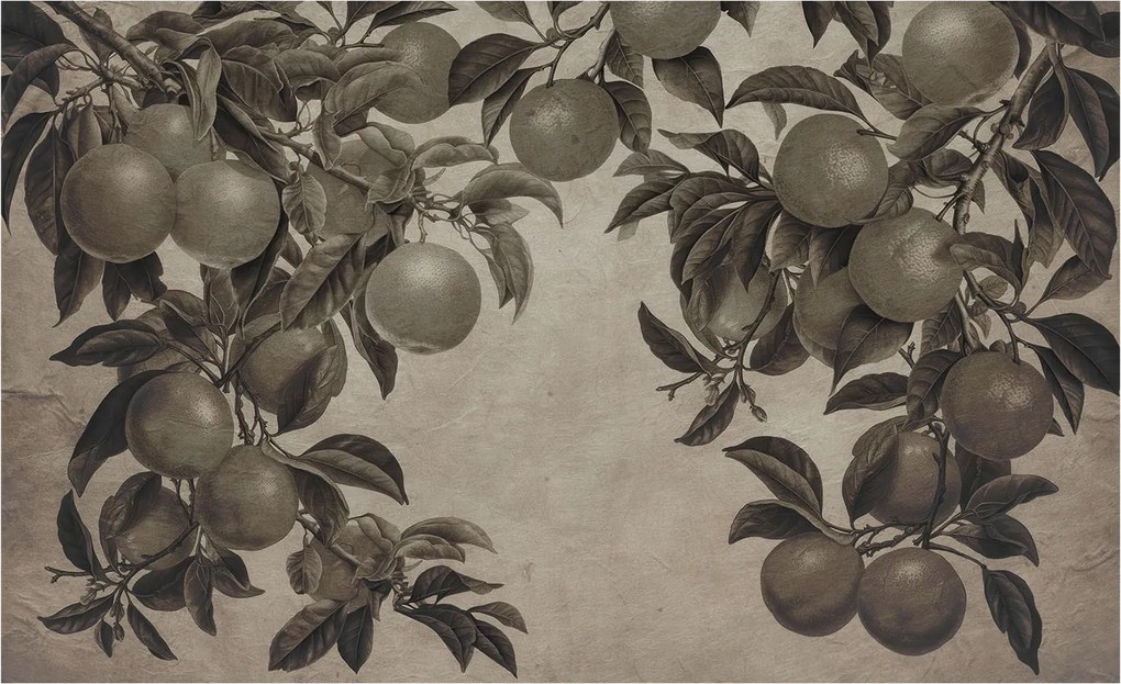 Dekoratív Fotótapéta Hálószobába Gyümölcsös minta 416x254 Ragasztó