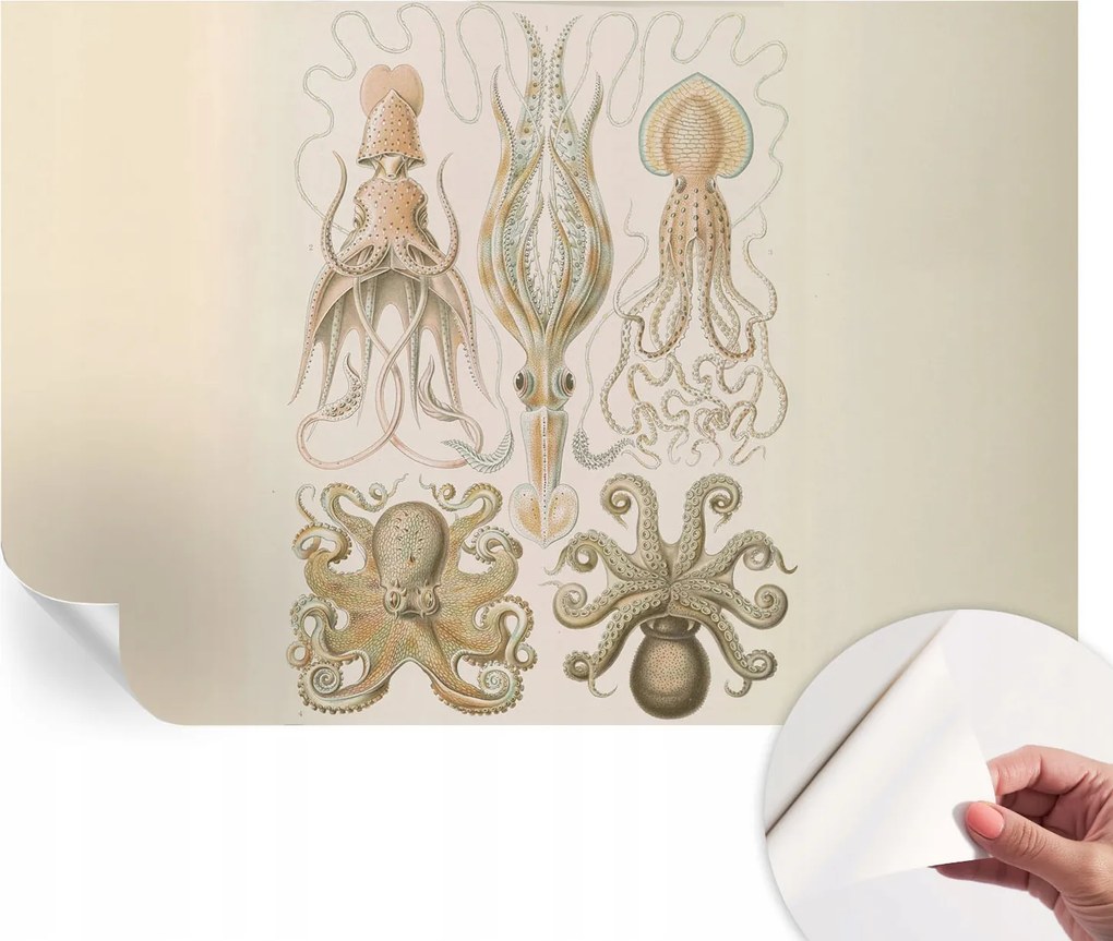 Öntapadós Dekoratív Fotótapéta Hálószobába Tengeri élet 104x70 cm