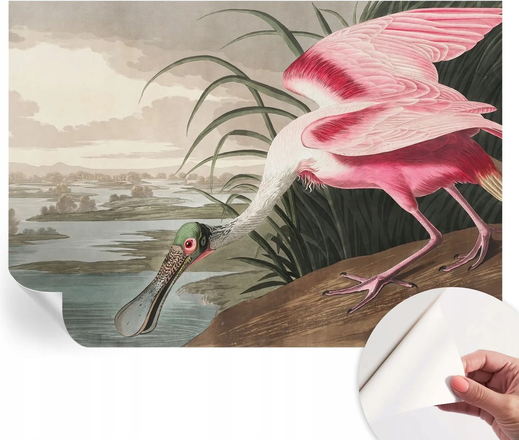 Öntapadós fotótapéta Konyha Mosható Egzotikus madár 312x219 cm