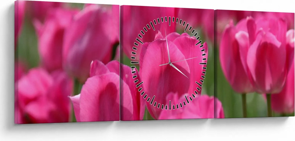 Kép - Rózsaszín tulipánok (órával) (90x30 cm)