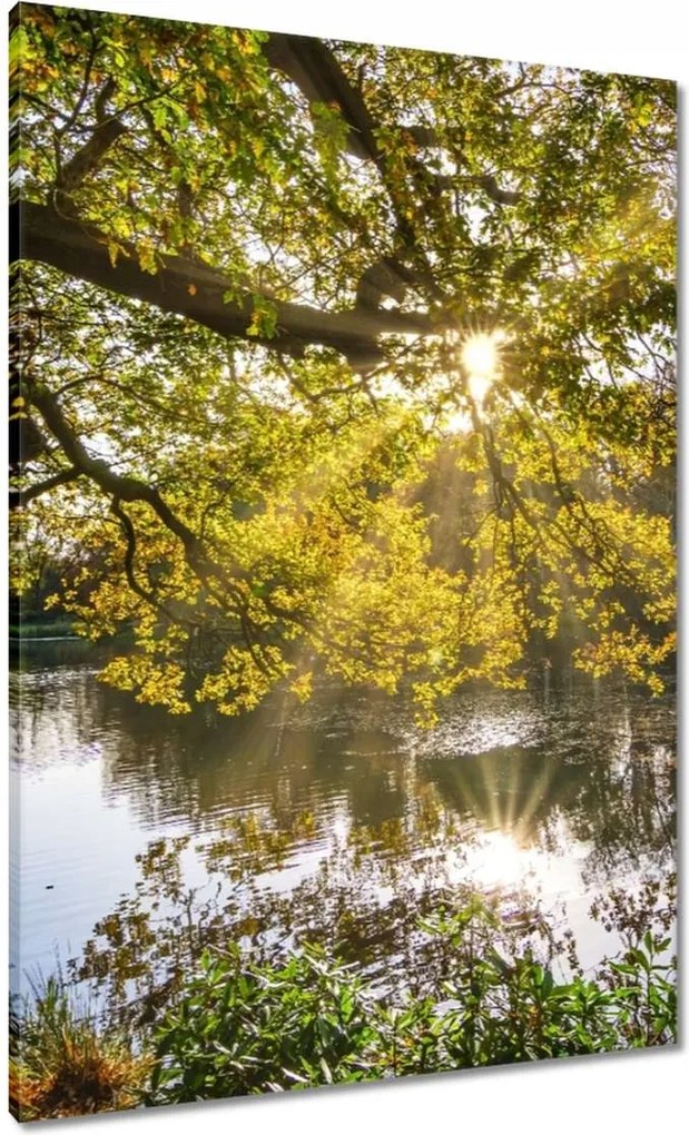 Festmények 70x100 Tájkép
