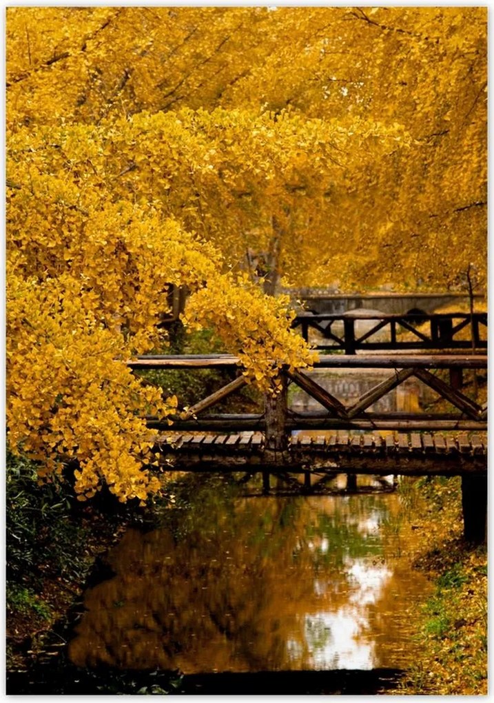 Poszterek 70x100 Tájkép Látvány