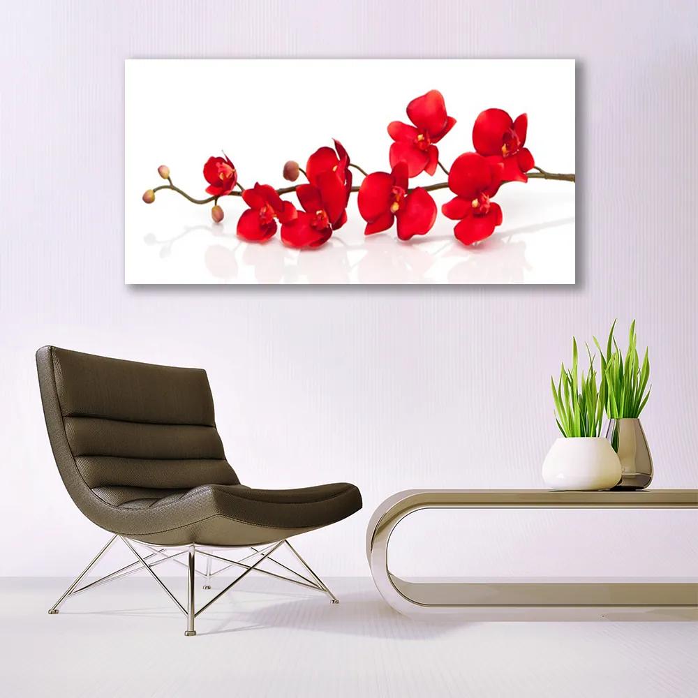 Vászonkép falra Virág növény természet 125x50 cm