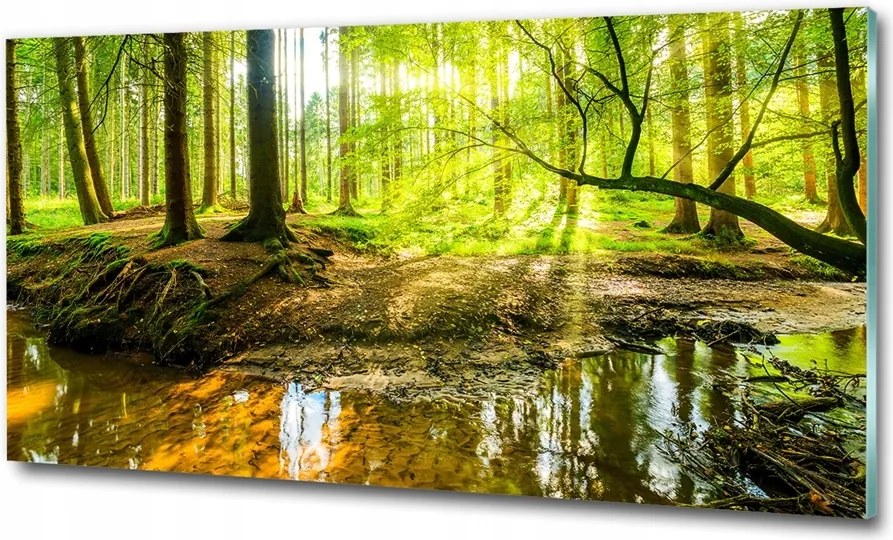 Fotó kép edzett üveg Mount Everest 100x70