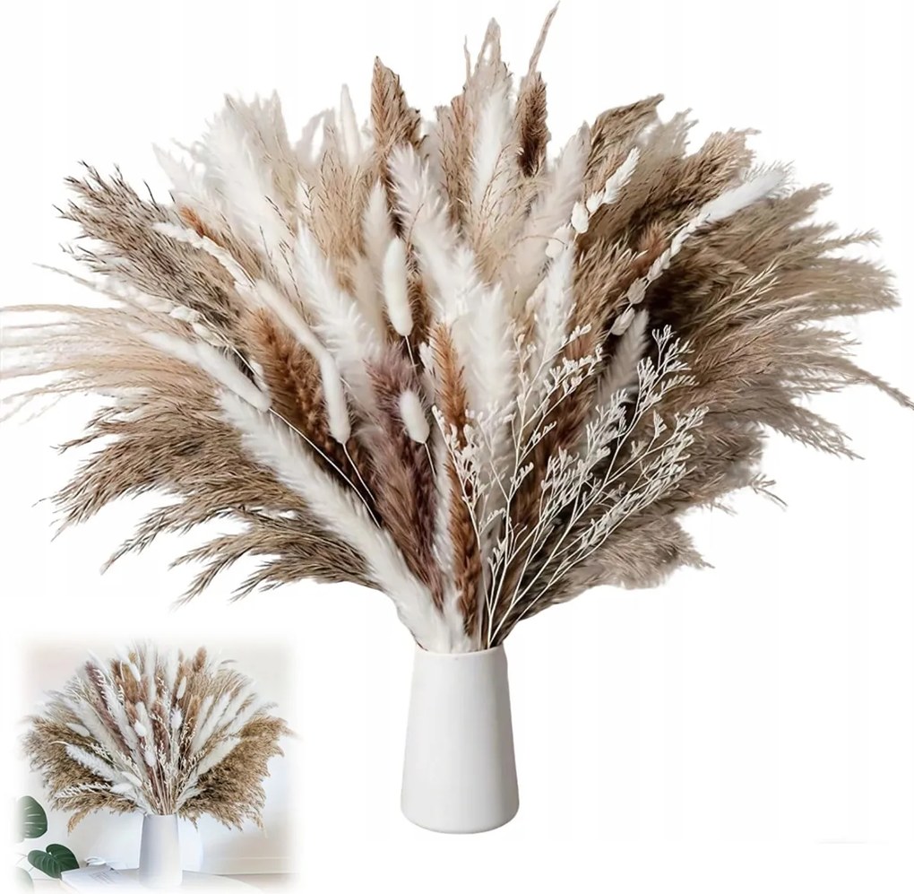 Díszfű Pampas Dekoratív Szárított Pampas Váza Fúvós Csokor