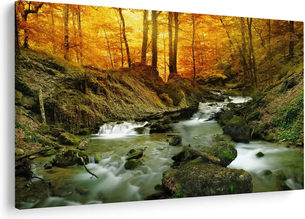 Kép - Erdő (90x60 cm)