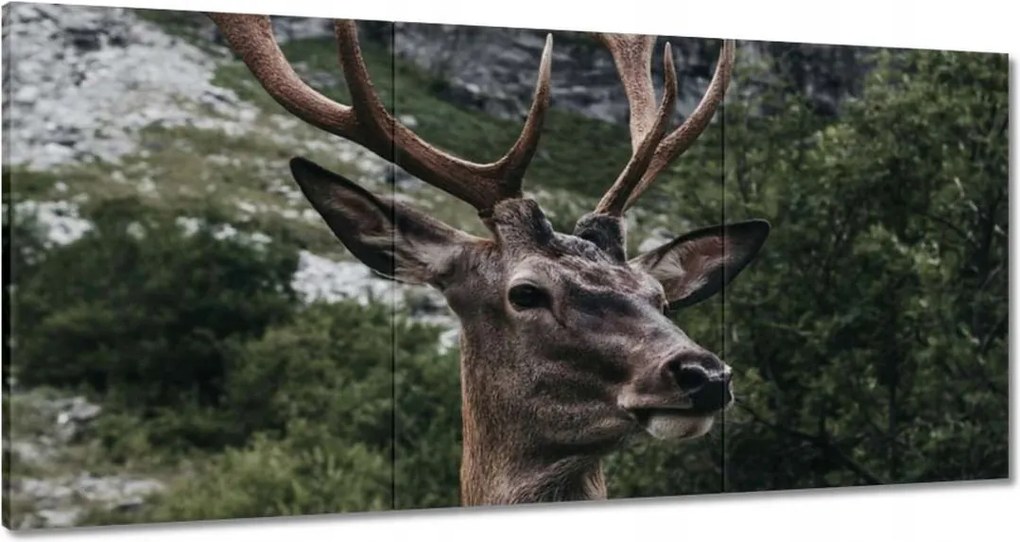 Vászonkép 180x90 Szarvas felszarvazott