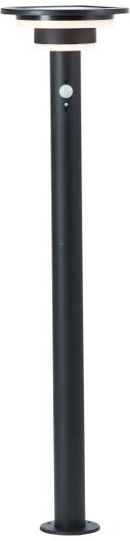 Brilliant - LED Napelemes lámpa érzékelővel GARVINA LED/3W/3,7V 85 cm IP44 fekete