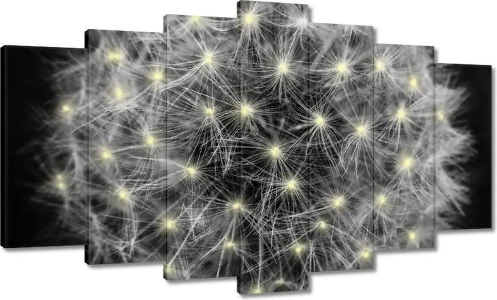 Vászonkép 140x80 Pitypang Virág Virágok