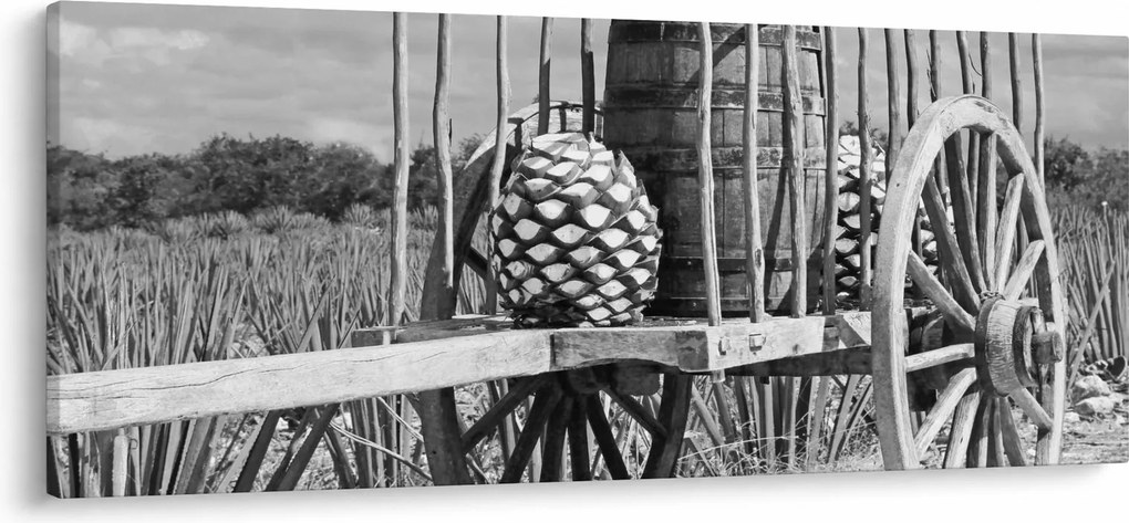 Kép - Utánfutó, fekete-fehér (120x50 cm)