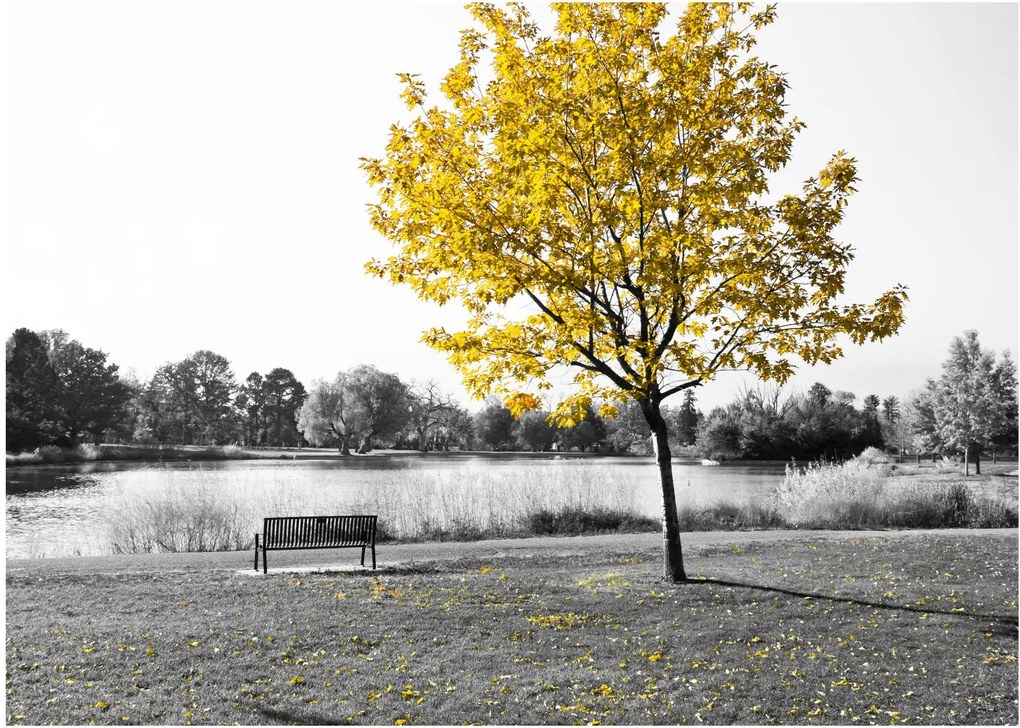 Kép - Pihenés a parkban (üvegen) (70x50 cm)