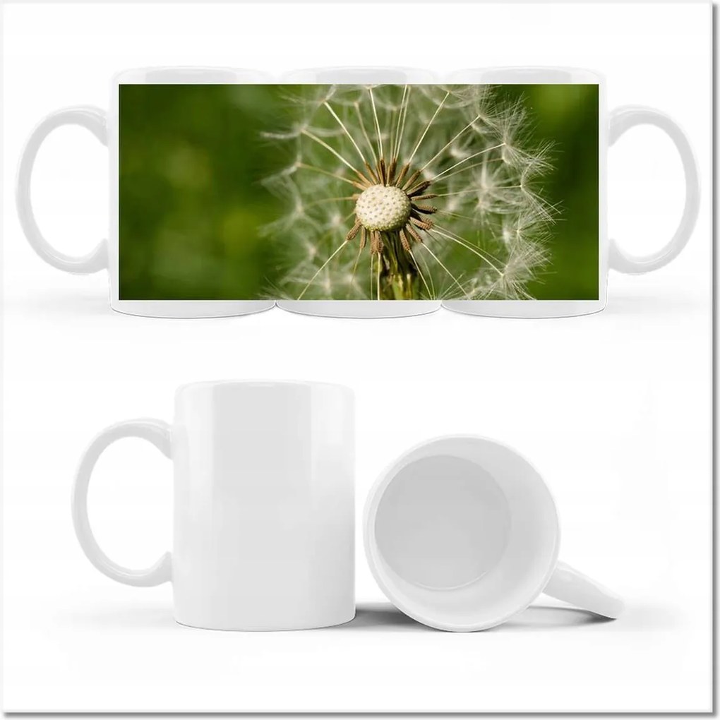 Fotó bögre Pitypang Virág Virágok