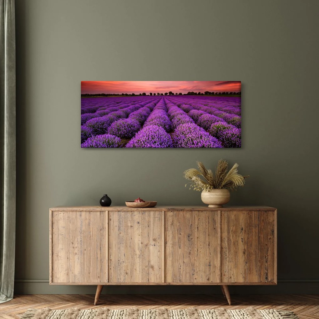 Kép - Levendula mező (120x50 cm)