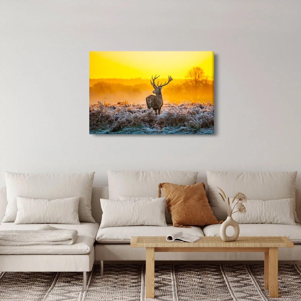 Kép - Szarvas napfelkeltekor (90x60 cm)