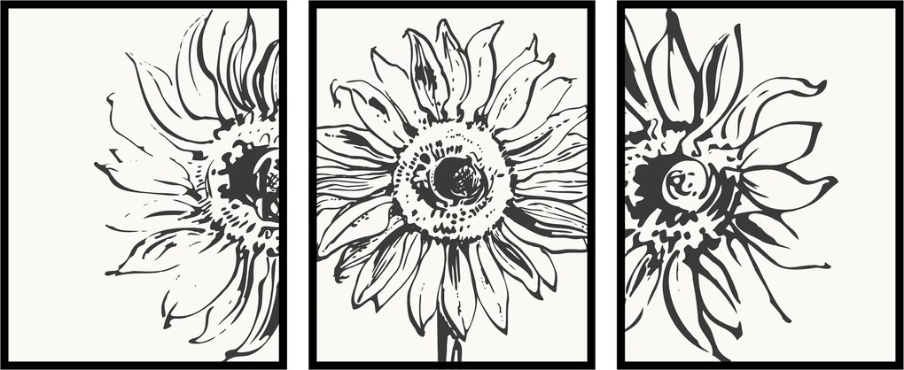 Poszterek triptichon 3db 13x18cm Grafika napraforgó vázlat virágok növények