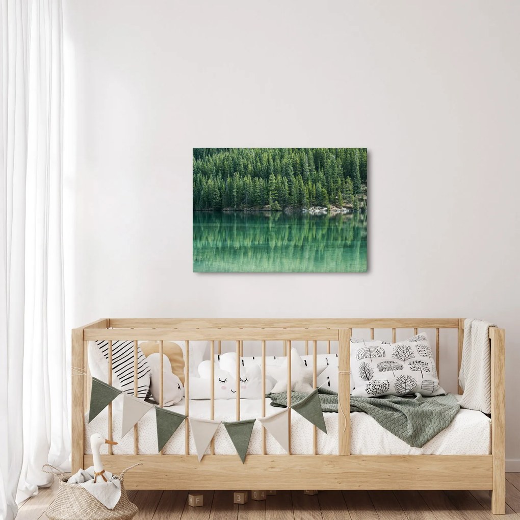 Kép - Tűlevelű a tónál (70x50 cm)