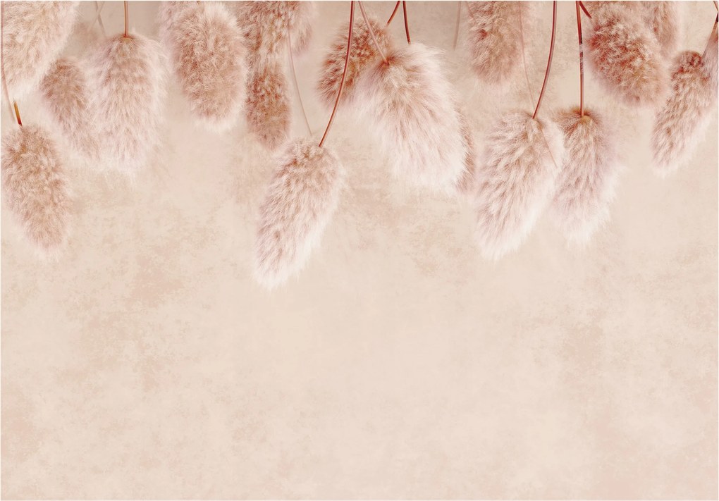 Fotótapéta Pampas Fű a falon vinil 312x219 Boho stílus Minimalizmus +ragasztó