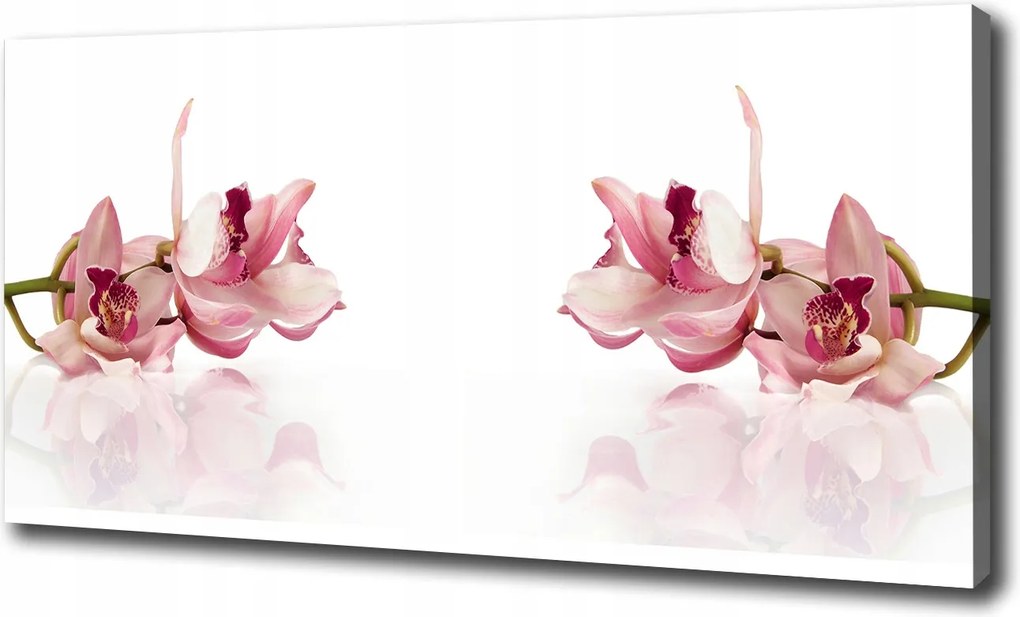 Canvas falikép Orchidea 100x70 cm