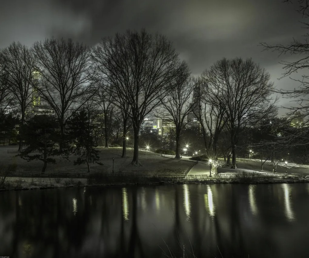 Poszter 60x50cm Central Park éjszaka 2, Assaf Frank