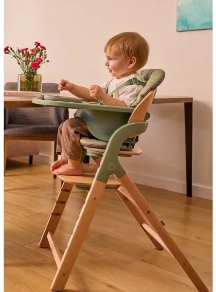 Lionelo - Gyermek etetőszék 3 az 1-ben MEGAN Green Wood