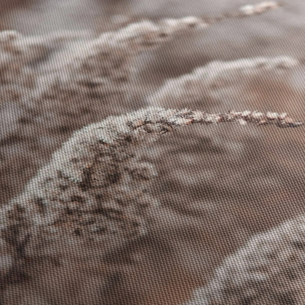 A növények képe (120x50 cm)