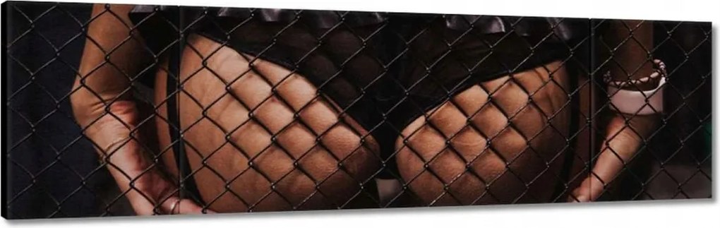 Vászonkép 170x50 Formás popsi a rács mögött