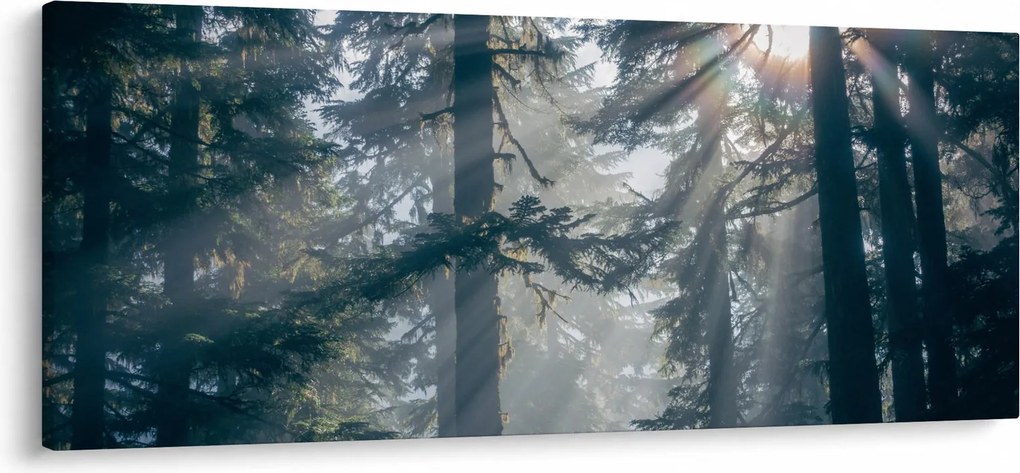 Fák képe a ragyogó nappal (120x50 cm)