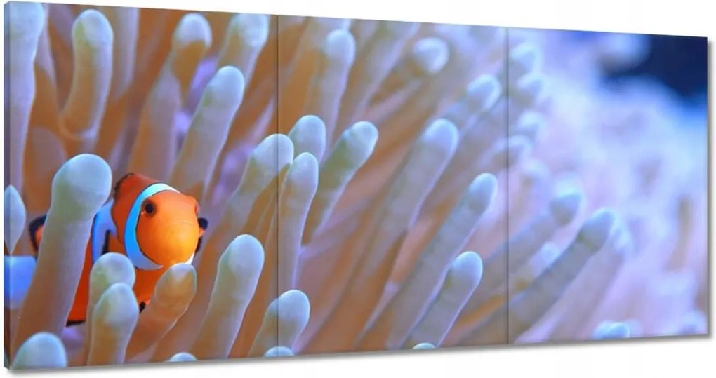 Festmények 180x90 Csodálatos tengeri világ