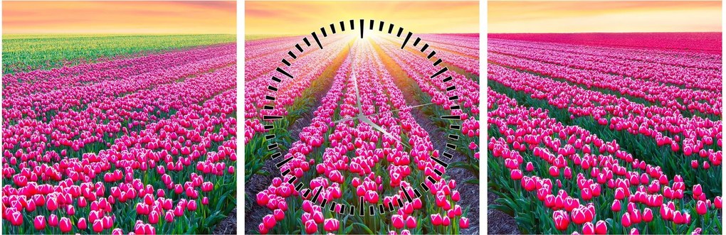 Tulipán mező és a nap képe (órával) (90x30 cm)