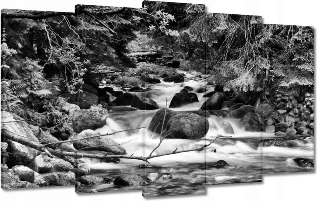 Képek 100x60 Tátra Lengyel hegyek Kilátás