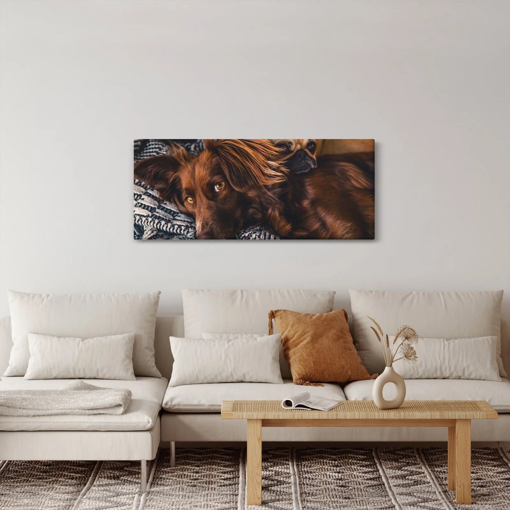 Egy kép fekvő kutyákról (120x50 cm)