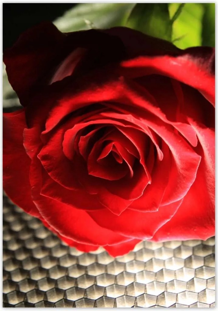 Poszterek 70x100 Érdekes ötlet