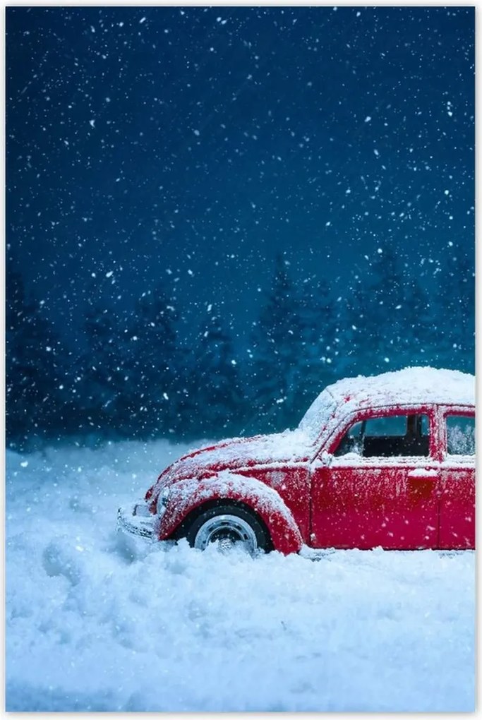 Poszterek 60x90 Bogár