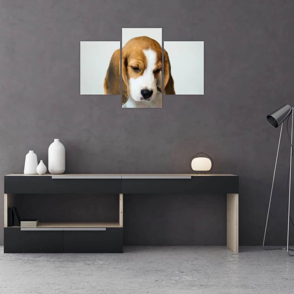 Beagle képe (90x60 cm)