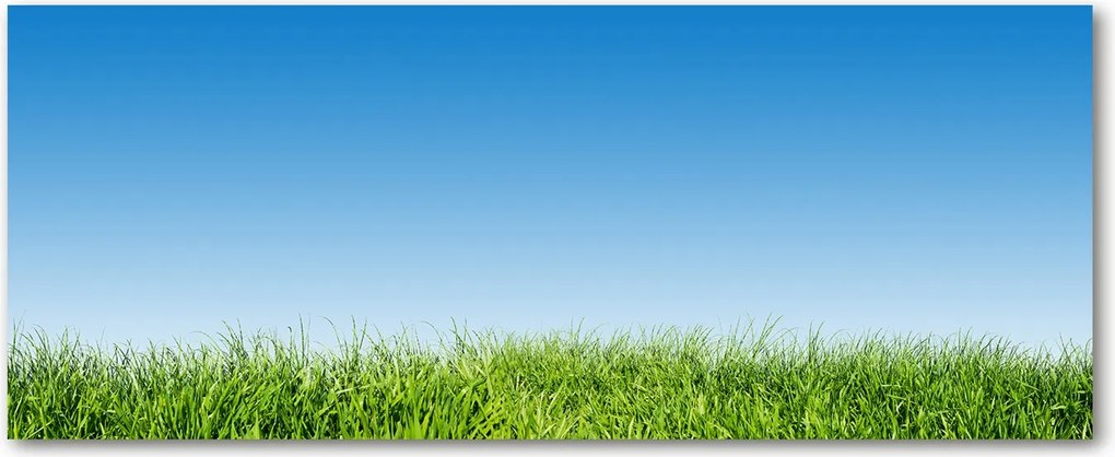 Edzett üveg panel a szekrények között Fű XXL