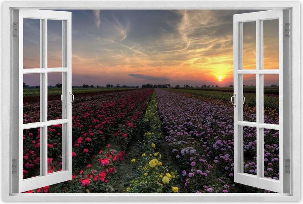 Poszterek 90x60 Nyugat a virágmezőn