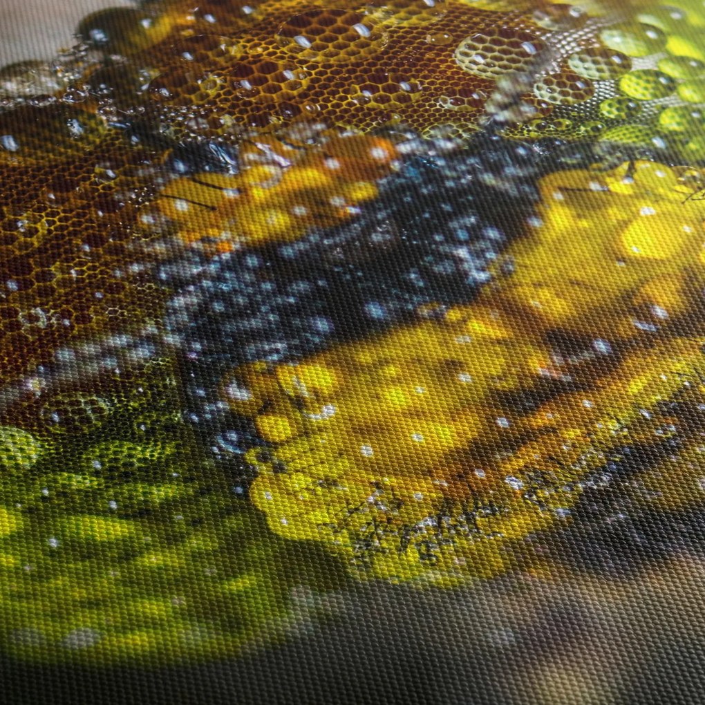 Részletes kép a rovar szemről (150x105 cm)