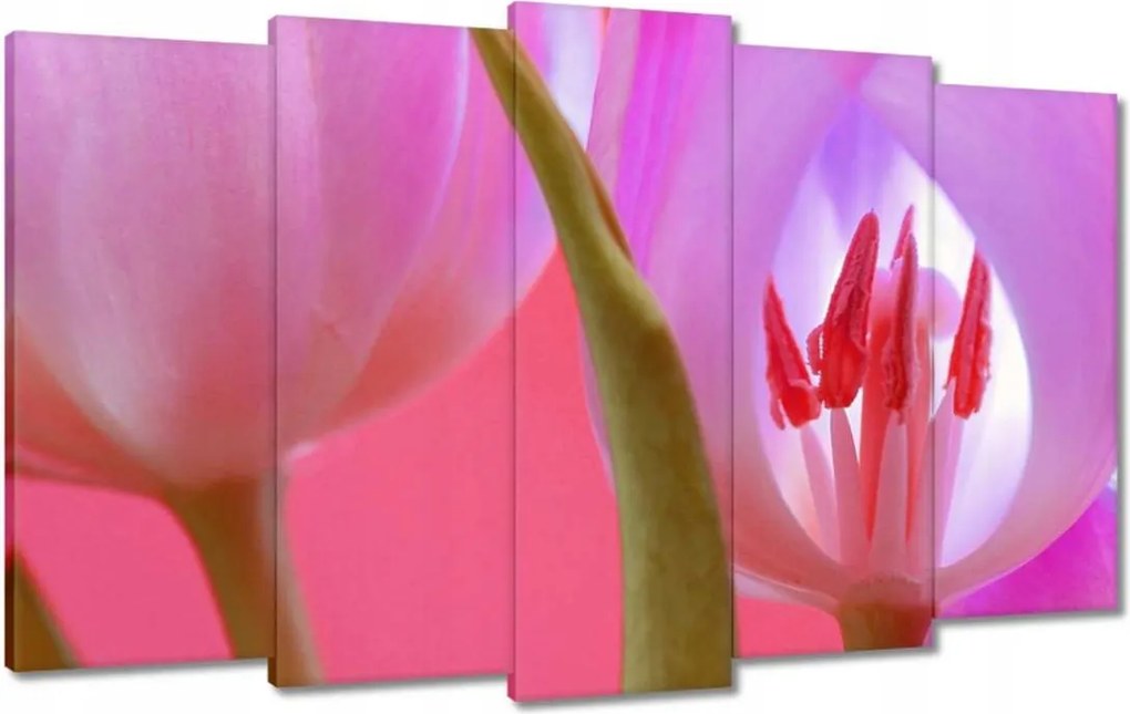 Vászonkép 100x60 Rózsaszín tulipán