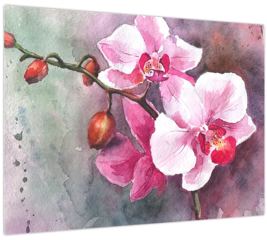 Üveg kép - Orchideák, akvarell (70x50 cm)