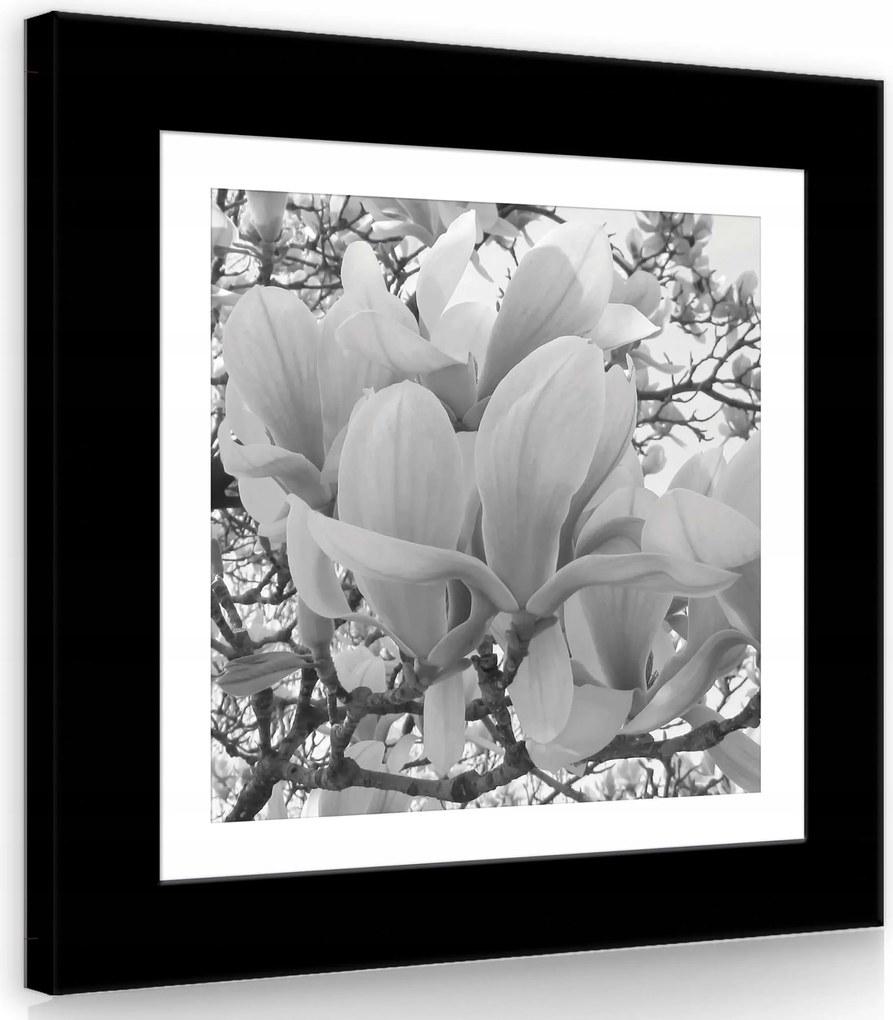 Vászonkép 40x40 Magnólia virágok növényvilág természet elegancia nyugalom finomság