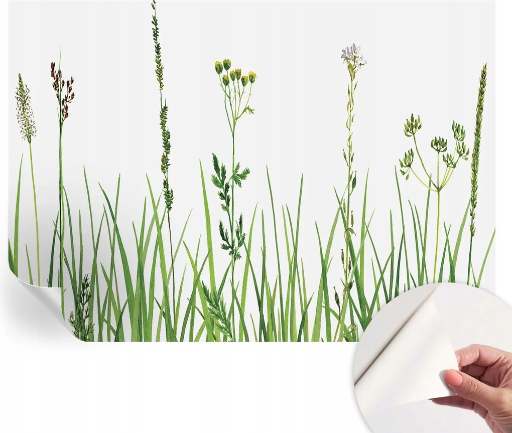 Fotótapéta Fali tapéta Hálószobába és Nappaliba Finom növényvilág 312x219 cm