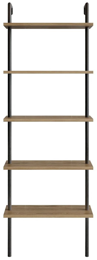 könyvespolc Paula - Walnut, Black