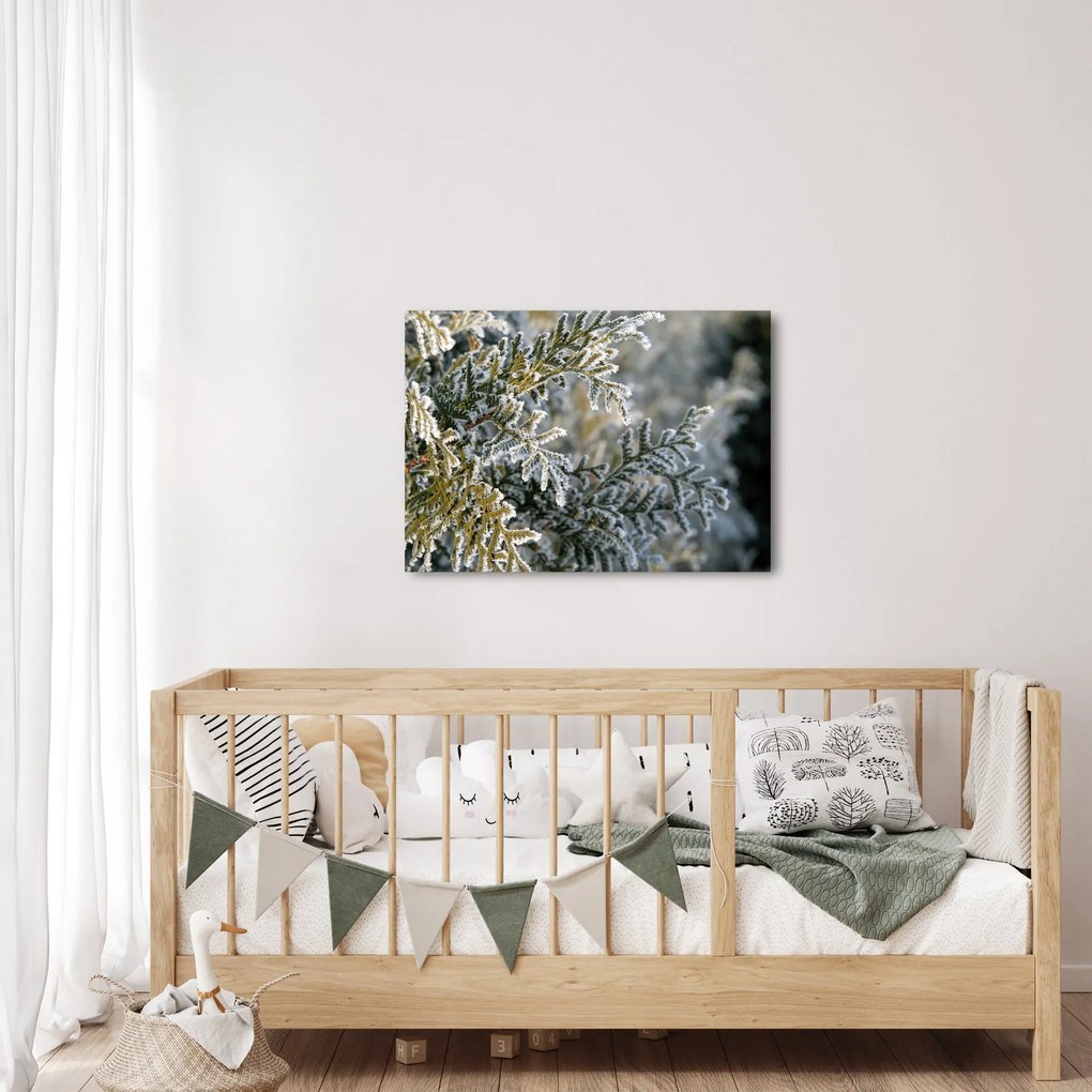 Kép - Ág részlet (70x50 cm)