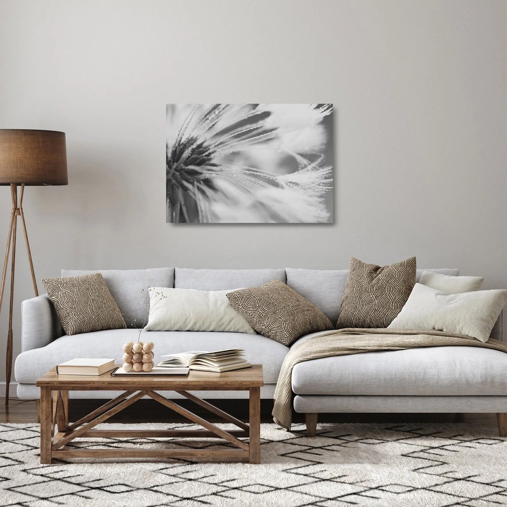 Üveg kép - Pitypang (70x50 cm)