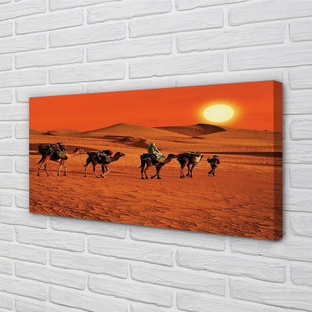 Canvas képek Tevék az emberek sivatagi nap ég 125x50 cm